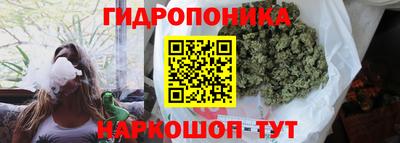 крисы Уссурийск