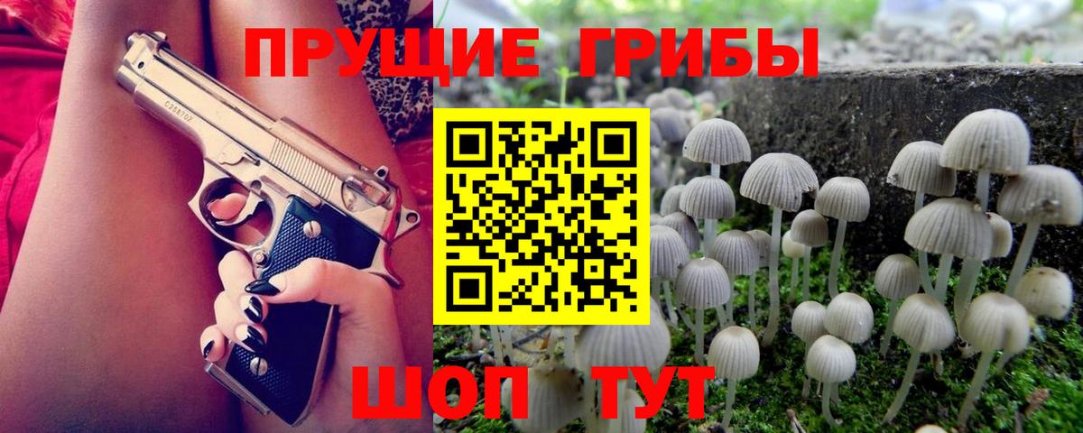 Псилоцибиновые грибы MAGIC MUSHROOMS  Псилоцибиновые грибы Psilocybe  Москва  Вход с VPN 
